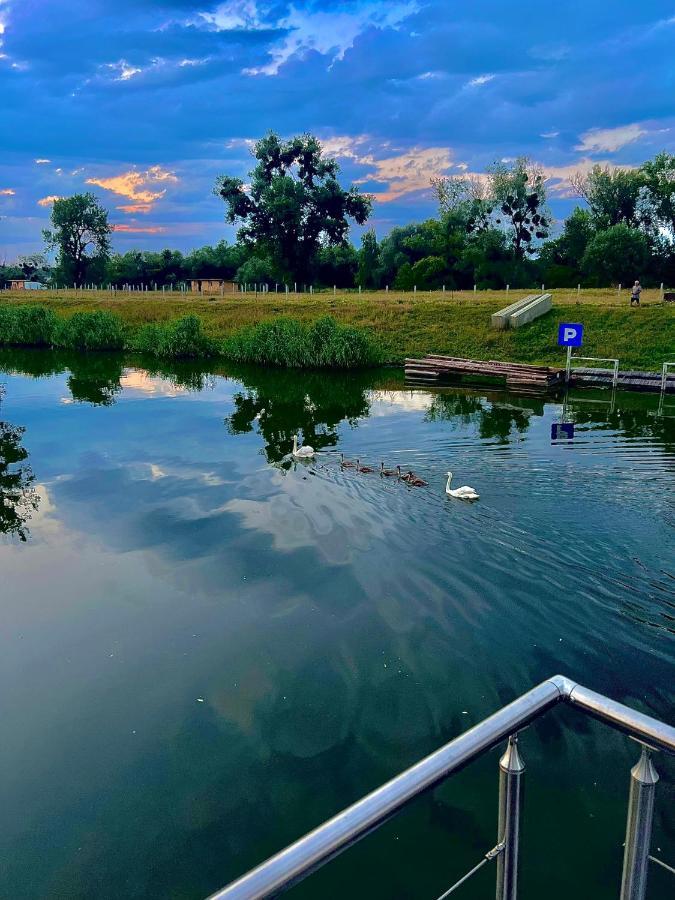 Houseboat Toro - Plywajacy Dom Na Wodzie Scinawa Polska